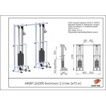 Биотонус-2 (стек 2х75кг) AR087