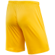 Шорты игровые CAMP Classic Shorts JFS-1120-041-K, желтый/белый, детские